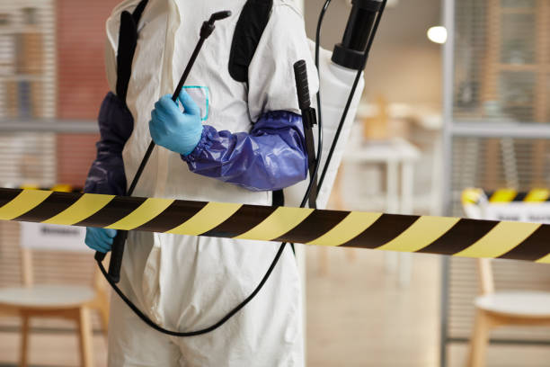 Professional Hoarding Cleanup technician working in Port Reading, NJ